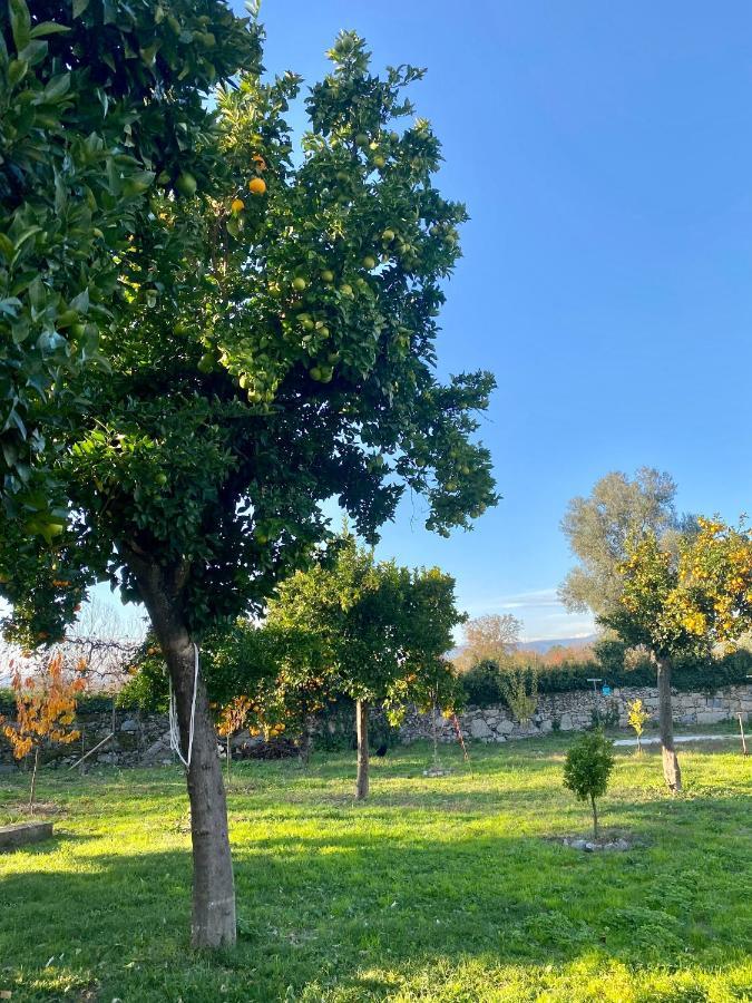 Quinta De Areias Bed and Breakfast Crespos Exteriör bild