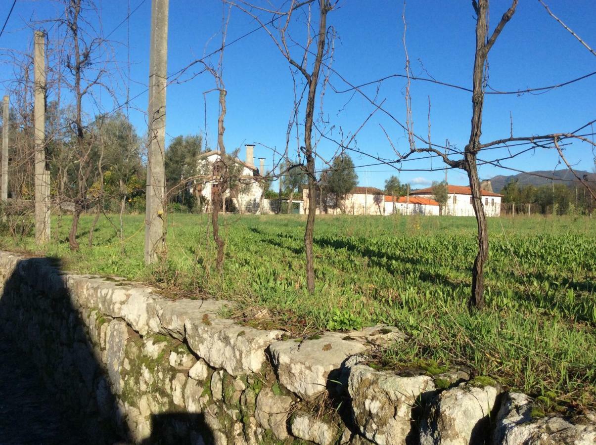 Quinta De Areias Bed and Breakfast Crespos Exteriör bild