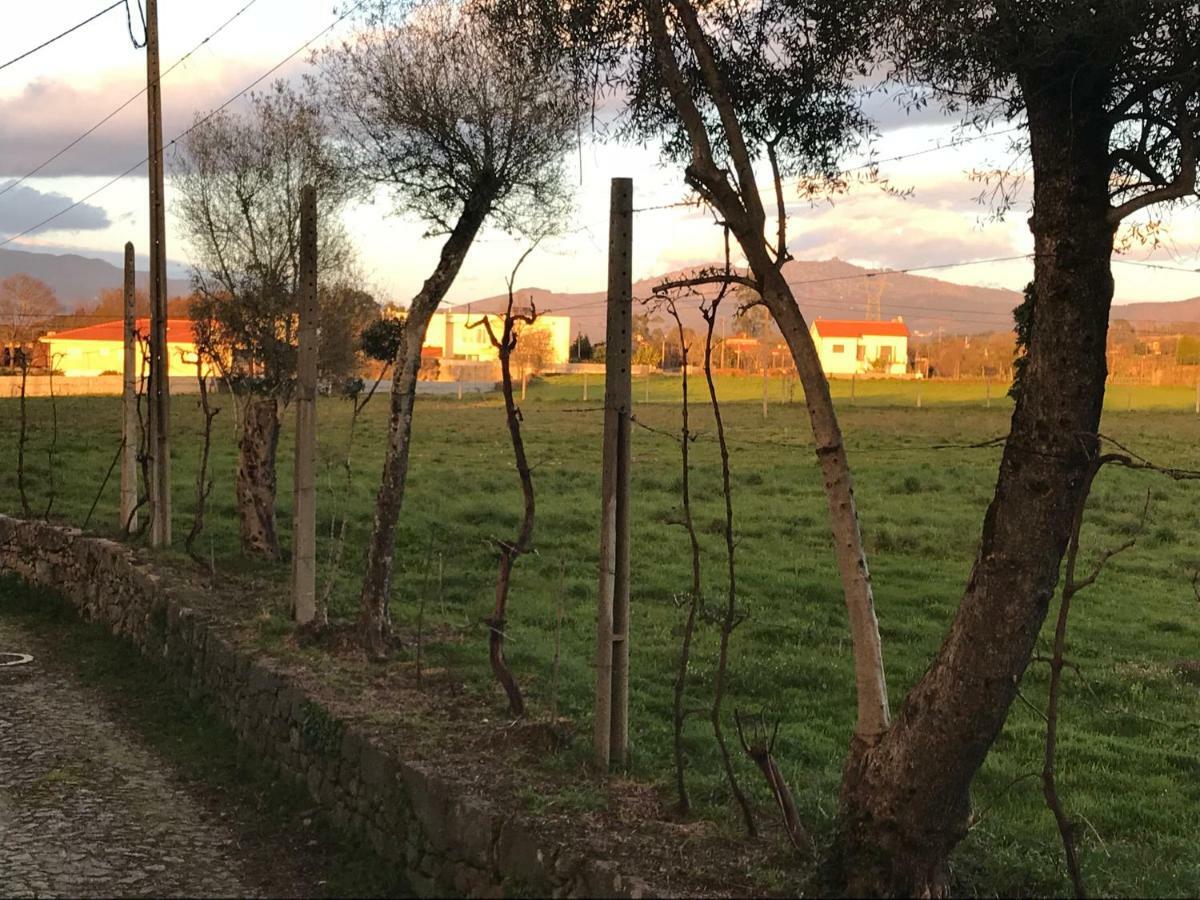 Quinta De Areias Bed and Breakfast Crespos Exteriör bild